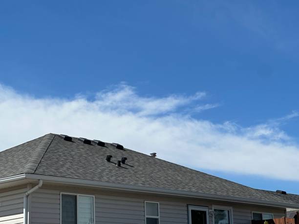 Best Rubber Roofing (EPDM, TPO)  in Doa Ana, NM